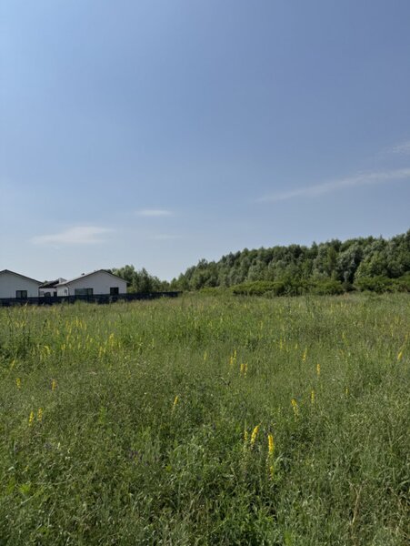 Domnesti, strada Salciei, teren intravilan 500 mp x 2 loturi