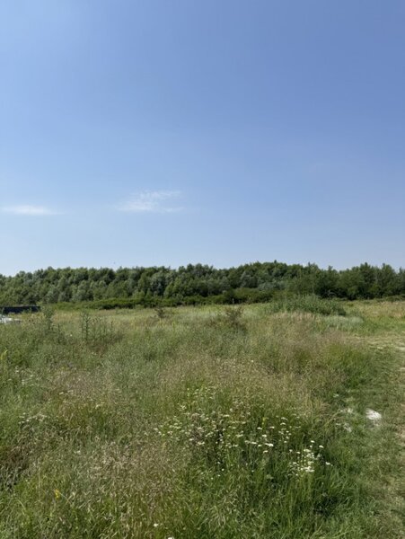Domnesti, strada Salciei, teren intravilan 500 mp x 2 loturi