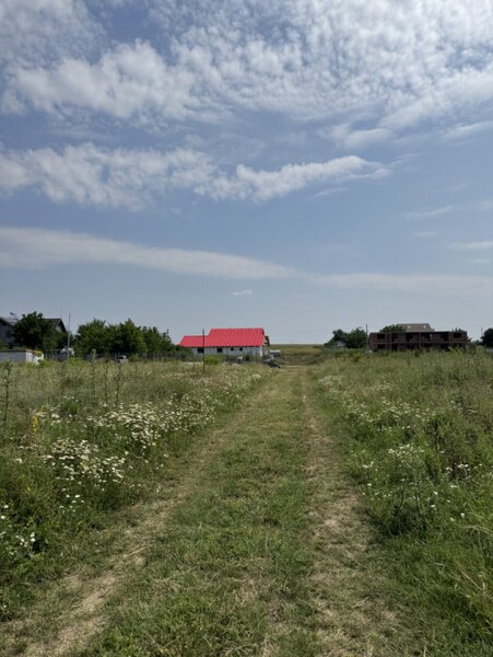 Domnesti, strada Salciei, teren intravilan 500 mp x 2 loturi